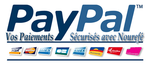 Logo page paypal nr